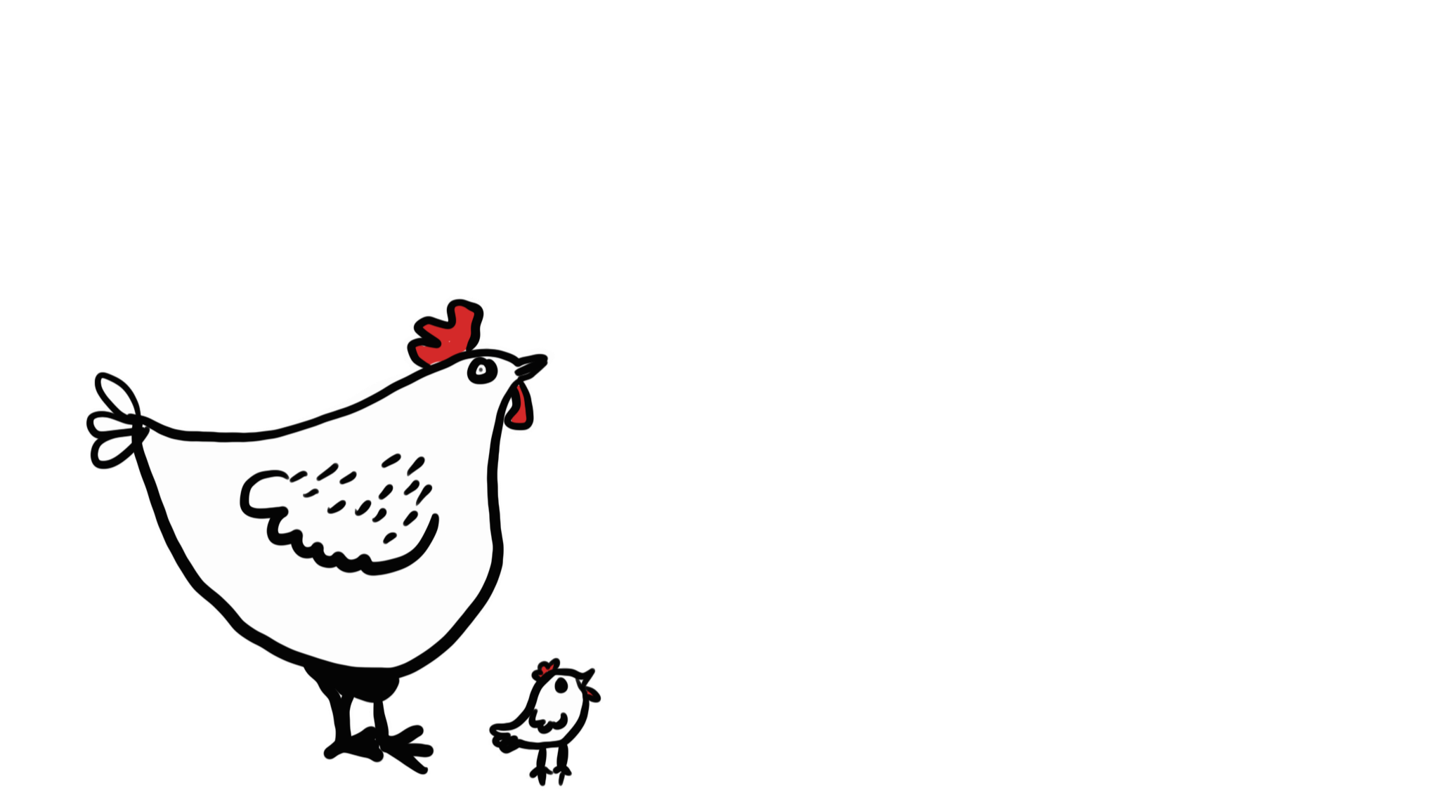 787 coffee has many chickens in the farm, 787 coffee is the best coffee to buy online